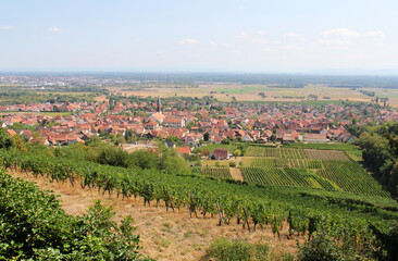 View on the village of Kintzheim from the Vosges Alsace Grand Est France