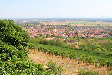Fototapeta na wymiar View on the village of Kintzheim from the Vosges Alsace Grand Est France