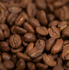 coffee beans background