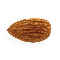 Almonds isolated on white background