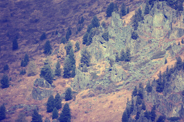 wallpaper autumn landscape mountain altai, freedom romantic trip