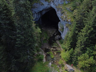 the cave into forest