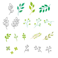 green leaves  illustration set