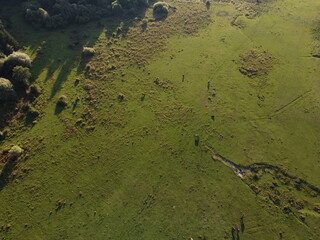 autumn on the plateau