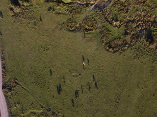 shadows on the plateau