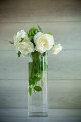 bouquet of beautiful white roses on table