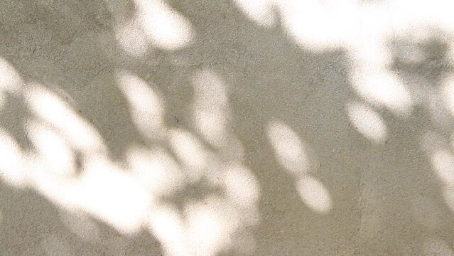 Abstract silhouette of the shadow of natural leaves of a tree branch on a gray concrete wall. Atmospheric video on a sunny summer day.