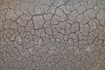 cracks on the ground desert texture background earth climate ecology