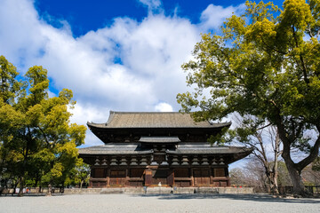 京都市 東寺 金堂