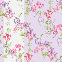 Pattern. Watercolor illustration of garden flowers. Colorful flowers and leaves. Background for the design of invitations and cards.