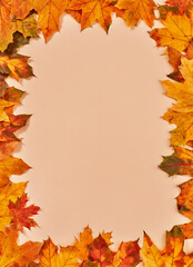 Naklejka na ściany i meble Dry autumn leaves frame