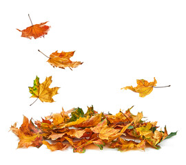 Autumn leaves falling in a pile