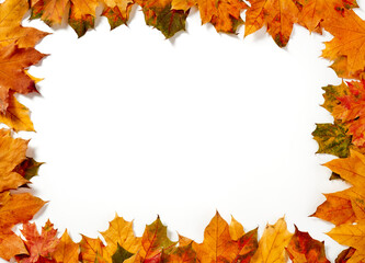 Naklejka na ściany i meble Autumn leaves frame