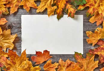 Naklejka na ściany i meble Blank banner and autumn leaves