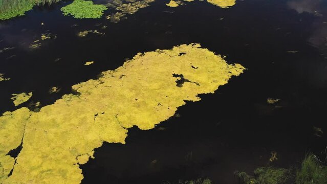 Rain water stagnation marshes at Saimaa lake Finland aerial