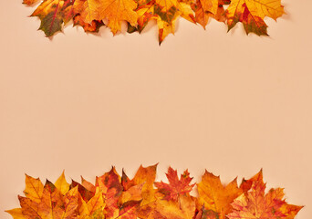 Orange autumn leaves