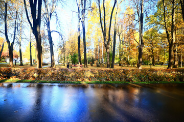 fall park view decoration, wallpaper autumn yellow season