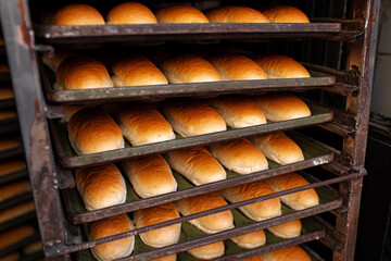 Freshly baked bread loafs on a shelf