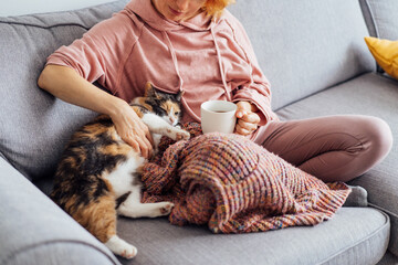 Close-up woman in a plaid drinking hot tea, petting a relaxed cat on the sofa at home. Cozy and...