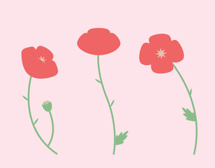Set of poppies in flat style. Beautiful wildflowers.
