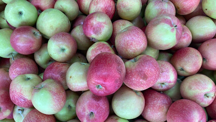 Natural background with red and green apples