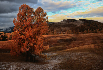tapete herbstlandschaft berg altai, freiheit romantische reise © kichigin19
