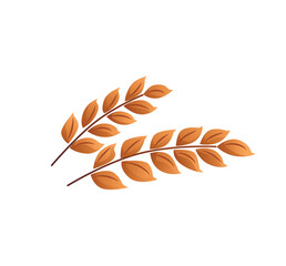 Spikelets of wheat for making beer flat style, vector illustration