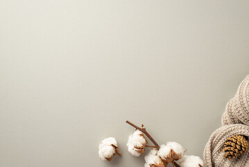 Winter mood concept. Top view photo of knitted plaid pine cone and cotton branch on isolated light...