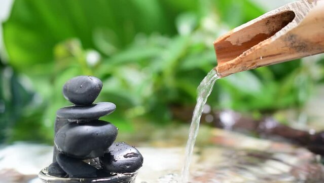Zen Stone Water Flow Natural Bamboo Gutter Green Leaf Spa