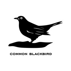 Common blackbird logo isolated on white background. Bird sign. Common blackbird silhouette. Minimalist bird icon vector illustration