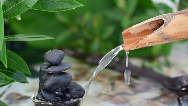 Zen Stone Water Flow Natural Bamboo Gutter Green Leaf Spa