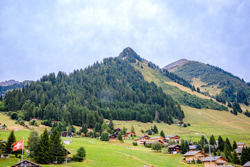 Fototapeta na wymiar Autour de Mosses Ormont-Dessou dans les alpes Suisse
