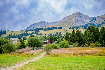 Autour de Mosses Ormont-Dessou dans les alpes Suisse