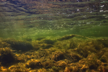 underwater fresh water green background with sun rays under, water