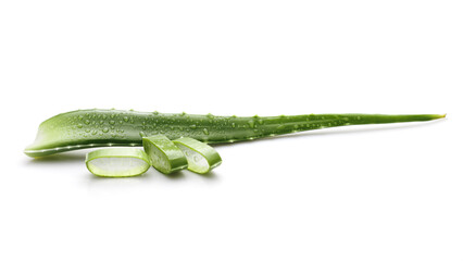 Aloe vera leaf and its cut pieces on a white background with shadow. Angle view. Selective focus.