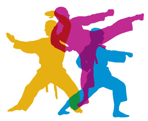 Fototapeta na wymiar Martial arts sport graphic.