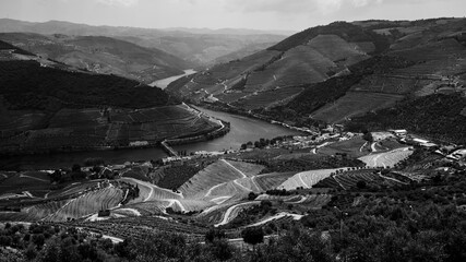 View of the vineyard on the hills Douro Valley, Porto, Portugal. Black and white photo. - obrazy, fototapety, plakaty