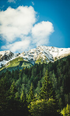 landscape in the mountains