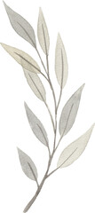 Hand drawn watercolor leaves and branches