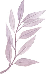 Hand drawn watercolor leaves and branches