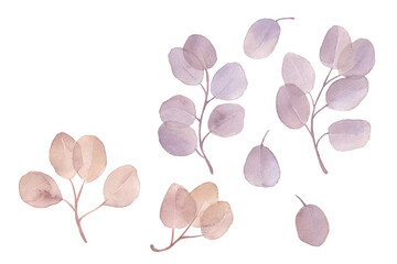 Hand drawn watercolor leaves and branches