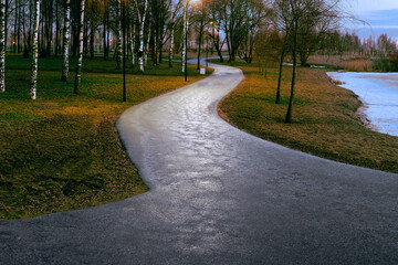 Asphalt gray road in the park at dusk, illuminated by street lamps, meanders between the trees like a huge snake