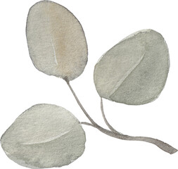 Hand drawn watercolor leaves and branches