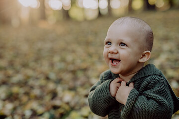 Portrait of cute little boy wearing knitted hoodie in nautre, autumn concept.