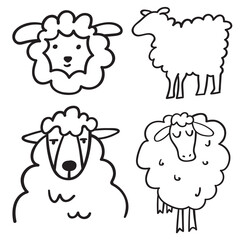 Sheep. Collection of icons. Vector outline illustration on white background.