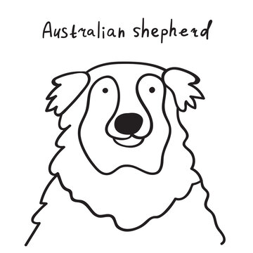 Australian shepherd head. Outline vector illustration on white background.