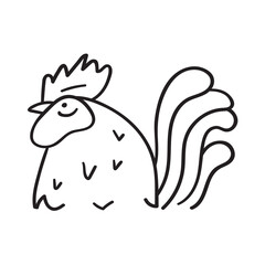 Rooster. Bird. Simple outline hand drawn illustration on white background.