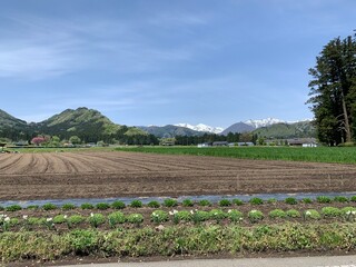 畑と雪山