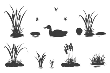 Foto op Plexiglas Silhouette elements of swamp grass with reeds and duck. Set of vector illustrations of black shadows of lake and river vegetation. © JuliaBliznyakova