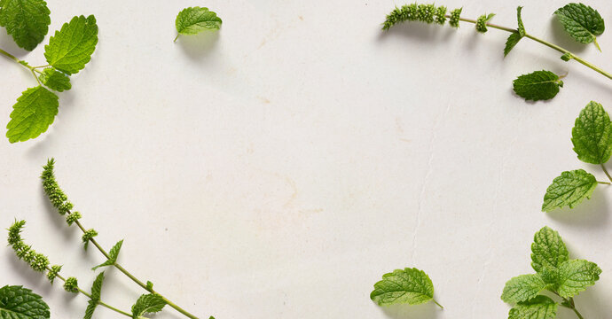 art Food and cooking banner background. Spices and herbs. background for a blog about cooking and delicious food